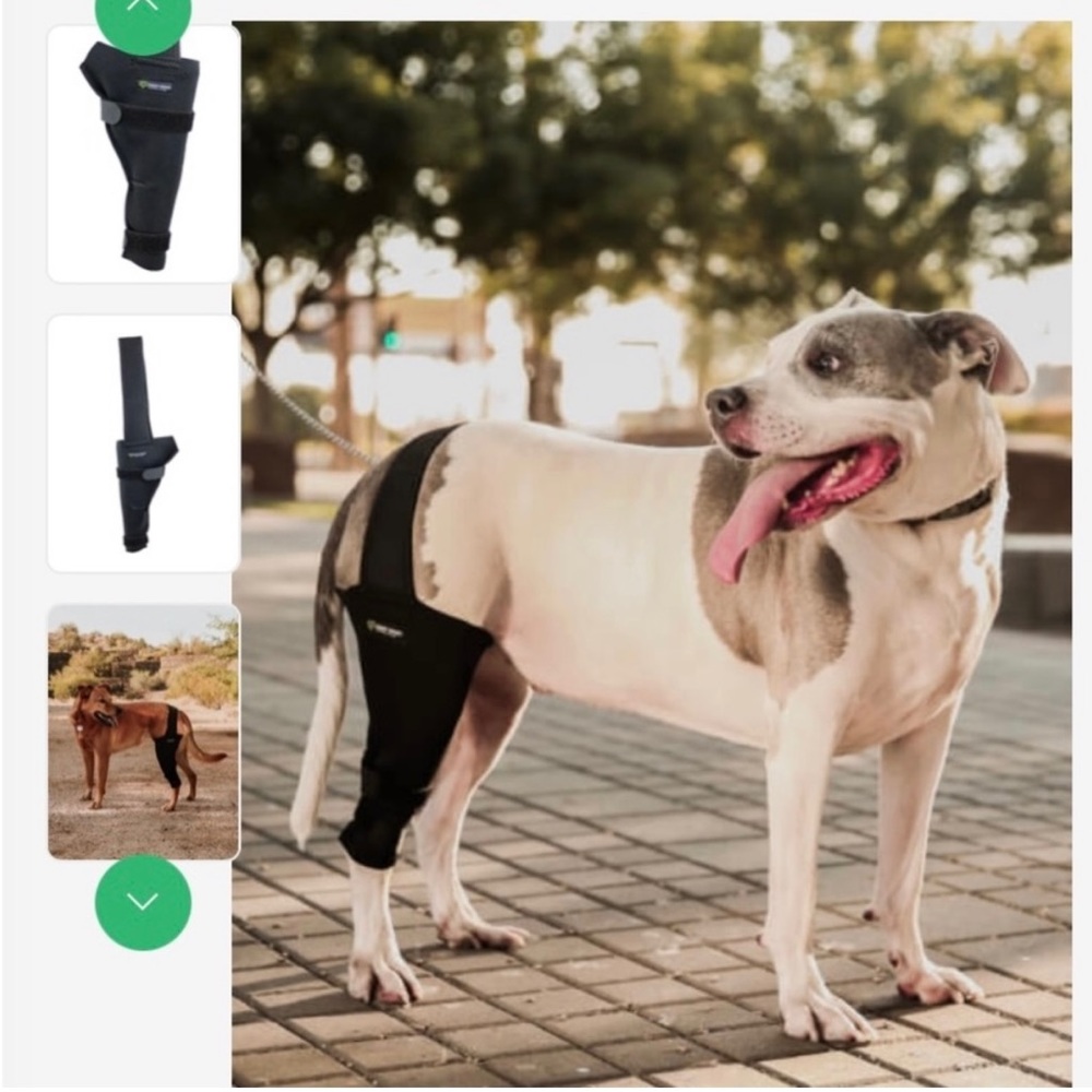 Doggy leg brace size L